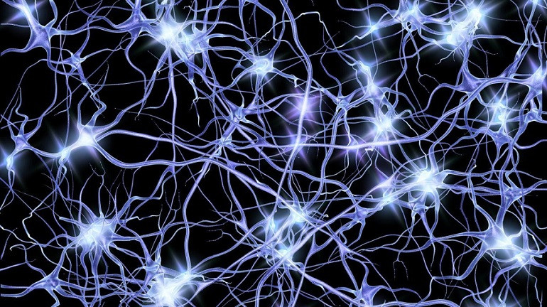 Resultado de imagen de neuronas  fotos sin derecho de autor